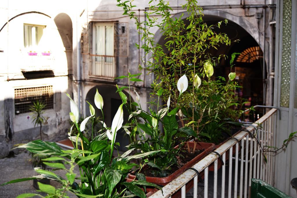 Bella Napoli Art Gallery 외부 사진